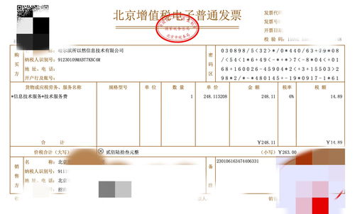 利用本地大模型高效提取發(fā)票信息 票據(jù)信息咨詢服務(wù)的革新之路